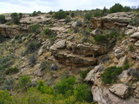 Canon PowerShot G3, 2005:10:04 15:23:34 -- 1/160 sec, f/8.0.  No Flash, Compulsory.2272x1704 Off.