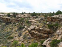 Canon PowerShot G3, 2005:10:04 15:23:38 -- 1/160 sec, f/8.0.  No Flash, Compulsory.2272x1704 Off.