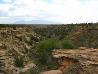 Canon PowerShot G3, 2005:10:04 15:30:18 -- 1/160 sec, f/8.0.  No Flash, Compulsory.2272x1704 Off.