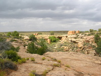 Canon PowerShot G3, 2005:10:04 15:45:33 -- 1/160 sec, f/8.0.  No Flash, Compulsory.2272x1704 Off.