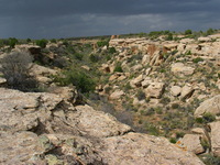 Canon PowerShot G3, 2005:10:04 15:48:41 -- 1/400 sec, f/8.0.  No Flash, Compulsory.2272x1704 Off.