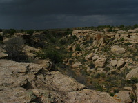 Canon PowerShot G3, 2005:10:04 15:48:48 -- 1/800 sec, f/8.0.  No Flash, Compulsory.2272x1704 Off.