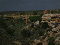 Canon PowerShot G3, 2005:10:04 15:48:59 -- 1/800 sec, f/8.0.  No Flash, Compulsory.2272x1704 Off.