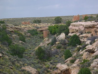 Canon PowerShot G3, 2005:10:04 15:49:24 -- 1/160 sec, f/8.0.  No Flash, Compulsory.2272x1704 Off.