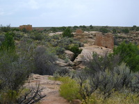 Canon PowerShot G3, 2005:10:04 15:54:46 -- 1/160 sec, f/8.0.  No Flash, Compulsory.2272x1704 Off.