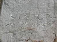 Canon PowerShot G3, 2005:10:05 13:07:53 -- 1/1000 sec, f/8.0.  No Flash, Compulsory.2272x1704 Off.