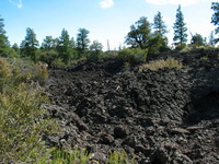 Canon PowerShot G3, 2005:10:05 15:27:44 -- 1/160 sec, f/8.0.  No Flash, Compulsory.2272x1704 Off.