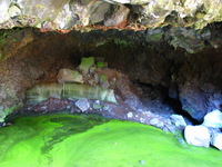 Canon PowerShot G3, 2005:10:05 15:35:08 -- 8 sec, f/8.0.  No Flash, Compulsory.2272x1704 Off.