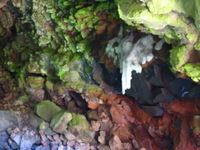 Canon PowerShot G3, 2005:10:05 15:36:47 -- 15 sec, f/8.0.  No Flash, Compulsory.2272x1704 Off.