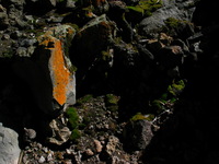 Canon PowerShot G3, 2005:10:05 16:05:21 -- 1/250 sec, f/8.0.  Flash, Compulsory, Red-Eye Reduce.2272x1704 Red-Eye Reduction (On).