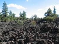 Canon PowerShot G3, 2005:10:05 16:09:30 -- 1/400 sec, f/4.0.  No Flash, Auto.2272x1704 Red-Eye Reduction (Auto).