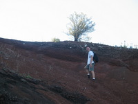 Canon PowerShot G3, 2005:10:05 18:57:38 -- 1/250 sec, f/4.0.  No Flash, Auto.2272x1704 Red-Eye Reduction (Auto).