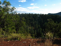 Canon PowerShot G3, 2005:10:05 19:05:26 -- 1/200 sec, f/8.0.  Flash, Compulsory, Red-Eye Reduce.2272x1704 Red-Eye Reduction (On).