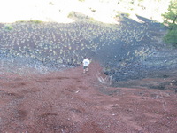 Canon PowerShot G3, 2005:10:05 19:11:57 -- 1/50 sec, f/3.2.  No Flash, Auto.2272x1704 Red-Eye Reduction (Auto).