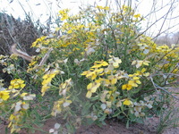 Canon PowerShot G3, 2005:10:05 20:41:03 -- 1/50 sec, f/3.2.  No Flash, Auto.2272x1704 Red-Eye Reduction (Auto).