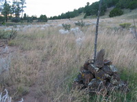 Canon PowerShot G3, 2005:10:05 20:46:22 -- 1/50 sec, f/2.8.  No Flash, Auto.2272x1704 Red-Eye Reduction (Auto).