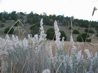 Canon PowerShot G3, 2005:10:05 20:48:01 -- 1/50 sec, f/3.2.  No Flash, Auto.2272x1704 Red-Eye Reduction (Auto).