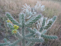 Canon PowerShot G3, 2005:10:05 20:48:54 -- 1/50 sec, f/2.2.  No Flash, Auto.2272x1704 Red-Eye Reduction (Auto).