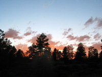 Canon PowerShot G3, 2005:10:05 21:00:03 -- 1/60 sec, f/5.6.  Flash, Compulsory, Red-Eye Reduce.2272x1704 Red-Eye Reduction (On).