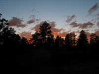 Canon PowerShot G3, 2005:10:05 21:00:19 -- 1/60 sec, f/8.0.  Flash, Compulsory, Red-Eye Reduce.2272x1704 Red-Eye Reduction (On).