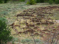 Canon PowerShot G3, 2005:10:06 15:39:49 -- 1/100 sec, f/8.0.  Flash, Compulsory, Red-Eye Reduce.2272x1704 Red-Eye Reduction (On).