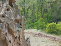 Canon PowerShot G3, 2005:10:06 15:46:36 -- 1/400 sec, f/3.0.  No Flash, Auto.2272x1704 Red-Eye Reduction (Auto).