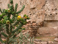 Canon PowerShot G3, 2005:10:06 16:03:52 -- 1/125 sec, f/8.0.  Flash, Compulsory, Red-Eye Reduce.2272x1704 Red-Eye Reduction (On).