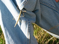 Canon PowerShot G3, 2005:10:06 19:01:25 -- 1/100 sec, f/8.0.  Flash, Compulsory, Red-Eye Reduce.2272x1704 Red-Eye Reduction (On).