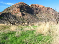 Canon PowerShot G3, 2005:10:06 19:08:31 -- 1/100 sec, f/8.0.  Flash, Compulsory, Red-Eye Reduce.2272x1704 Red-Eye Reduction (On).