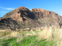 Canon PowerShot G3, 2005:10:06 19:08:35 -- 1/100 sec, f/8.0.  Flash, Compulsory, Red-Eye Reduce.2272x1704 Red-Eye Reduction (On).