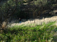 Canon PowerShot G3, 2005:10:06 19:08:55 -- 1/100 sec, f/8.0.  Flash, Compulsory, Red-Eye Reduce.2272x1704 Red-Eye Reduction (On).