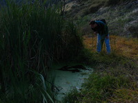 Canon PowerShot G3, 2005:10:06 19:14:08 -- 1/60 sec, f/8.0.  Flash, Compulsory, Red-Eye Reduce.2272x1704 Red-Eye Reduction (On).