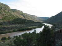 Canon PowerShot G3, 2005:10:06 19:31:09 -- 1/200 sec, f/4.0.  No Flash, Compulsory.2272x1704 Off.