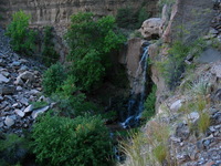 Canon PowerShot G3, 2005:10:06 20:16:37 -- 1/60 sec, f/2.2.  Flash, Compulsory, Red-Eye Reduce.2272x1704 Red-Eye Reduction (On).