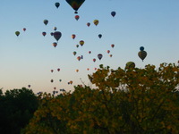 Canon PowerShot G3, 2005:10:08 09:44:27 -- 1/80 sec, f/8.0.  No Flash, Compulsory.2272x1704 Off.