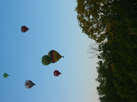 Canon PowerShot G3, 2005:10:08 09:44:36 -- 1/80 sec, f/8.0.  No Flash, Compulsory.2272x1704 Off.