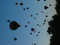 Canon PowerShot G3, 2005:10:08 09:45:00 -- 1/125 sec, f/8.0.  No Flash, Compulsory.2272x1704 Off.