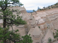 Canon PowerShot G3, 2005:10:10 20:14:06 -- 1/50 sec, f/3.2.  No Flash, Auto.2272x1704 Red-Eye Reduction (Auto).