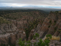 Canon PowerShot G3, 2005:10:10 20:26:49 -- 1/60 sec, f/3.2.  No Flash, Compulsory.2272x1704 Off.