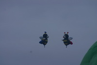 Canon EOS DIGITAL REBEL, 2005:10:07 10:03:56 -- 1/60 sec, f/8.0.  No Flash.3072x2048 Off.