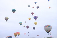 Canon EOS DIGITAL REBEL, 2005:10:07 11:22:56 -- 1/60 sec, f/8.0.  No Flash.3072x2048 Off.