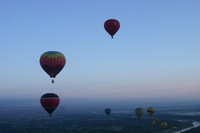 Canon EOS DIGITAL REBEL, 2005:10:08 09:24:39 -- 1/80 sec, f/7.1.  No Flash.3072x2048 Off.