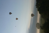 Canon EOS DIGITAL REBEL, 2005:10:08 09:52:54 -- 1/60 sec, f/25.0.  No Flash.3072x2048 Off.