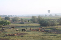 Canon EOS DIGITAL REBEL, 2005:10:08 09:55:55 -- 1/60 sec, f/9.0.  No Flash.3072x2048 Off.