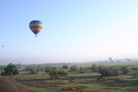 Canon EOS DIGITAL REBEL, 2005:10:08 09:56:19 -- 1/60 sec, f/10.0.  No Flash.3072x2048 Off.