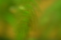 Canon EOS DIGITAL REBEL, 2005:10:09 22:10:37 -- 1/15 sec, f/3.5.  No Flash.3072x2048 Off.