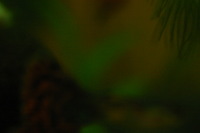 Canon EOS DIGITAL REBEL, 2005:10:09 22:11:13 -- 1/60 sec, f/3.5.  No Flash.3072x2048 Off.