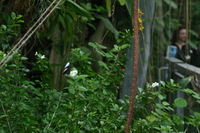 Canon EOS DIGITAL REBEL, 2006:03:11 14:41:25 -- 1/500 sec, f/4.5.  No Flash.3072x2048 Off.