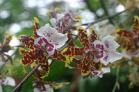 Canon EOS DIGITAL REBEL, 2006:03:11 14:47:25 -- 1/500 sec, f/7.1.  No Flash.3072x2048 Off.