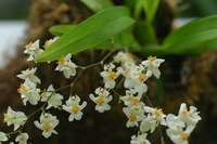 Canon EOS DIGITAL REBEL, 2006:03:11 14:56:14 -- 1/100 sec, f/4.5.  No Flash.3072x2048 Off.